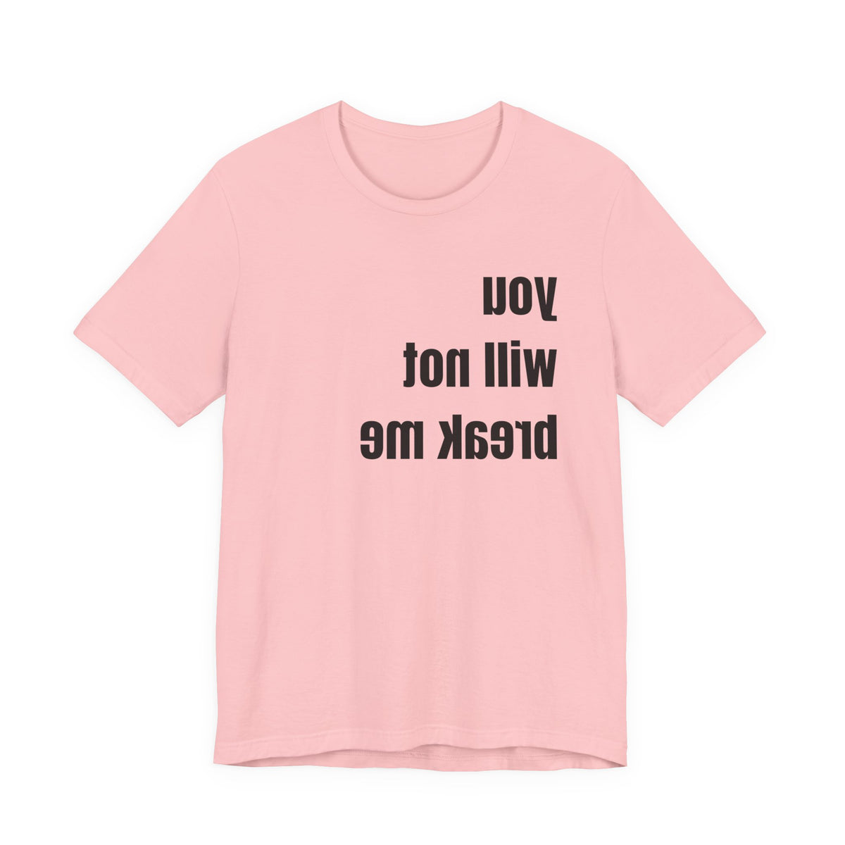 'You will not break me' Mirror t