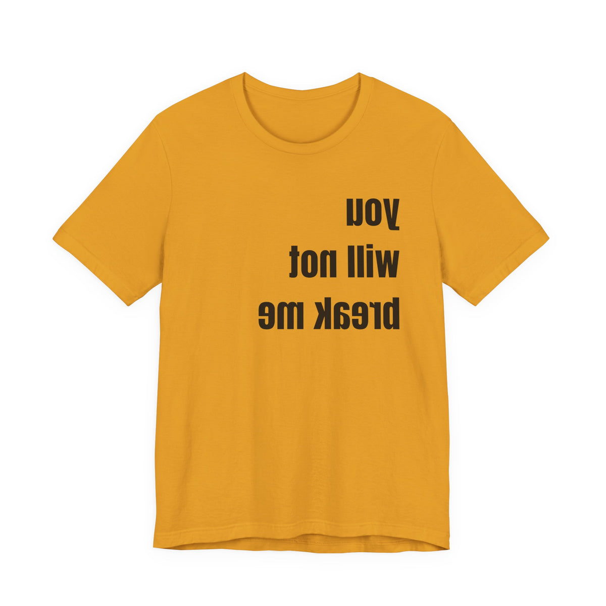 'You will not break me' Mirror t