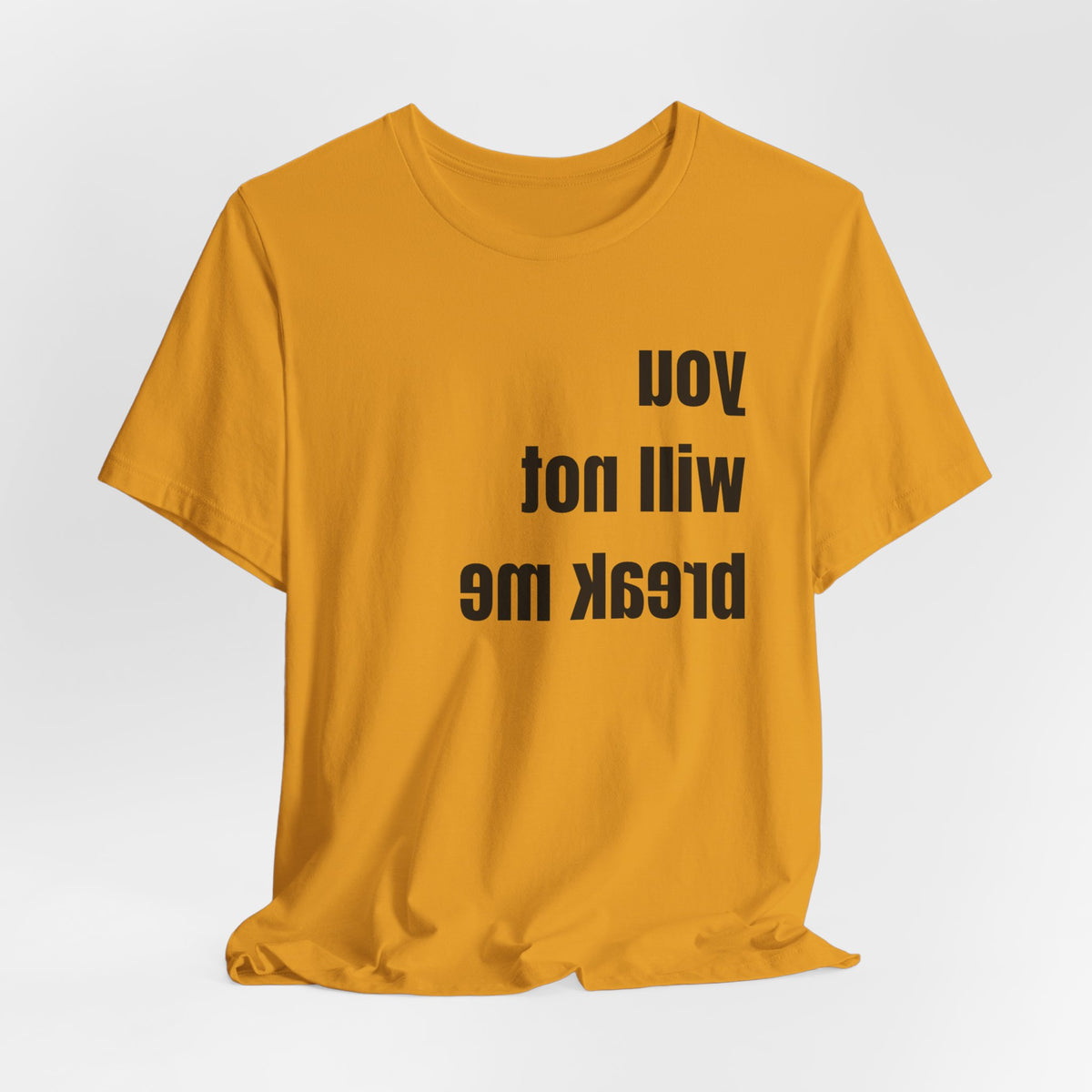 'You will not break me' Mirror t